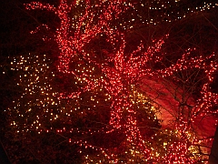 017 Toledo Zoo Light Show [2008 Dec 27]